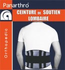 Lumbar Area